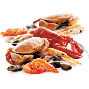Полезные свойства морепродуктов
